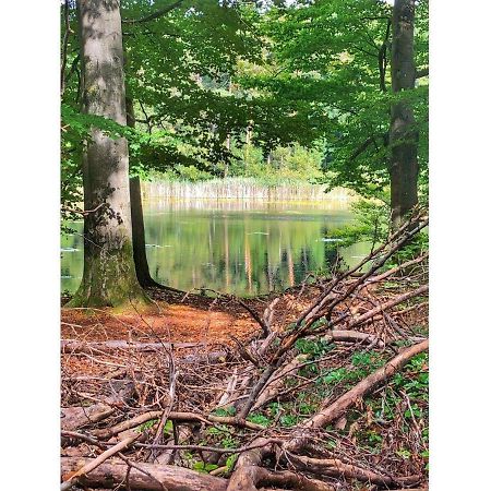 Ravensberg Lägenhet Bad Sachsa Exteriör bild