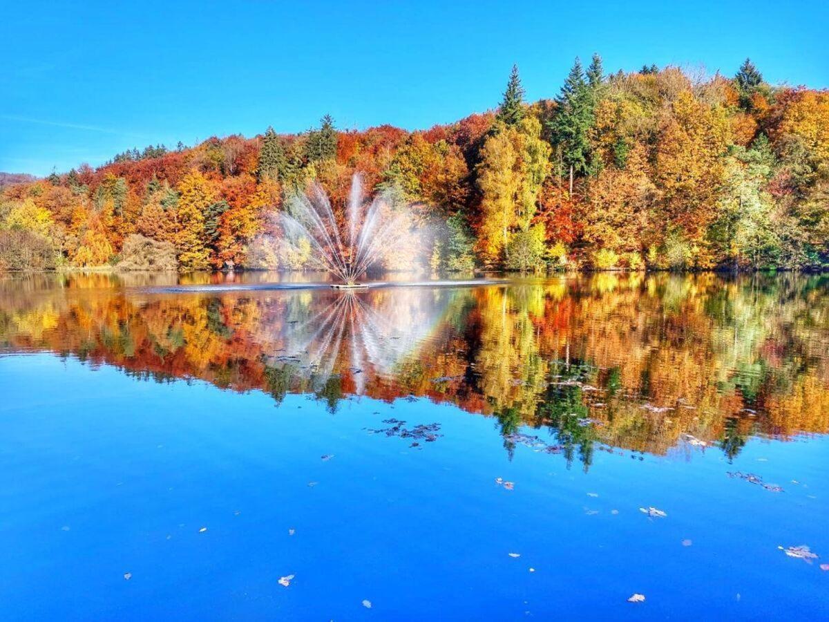 Ravensberg Lägenhet Bad Sachsa Exteriör bild