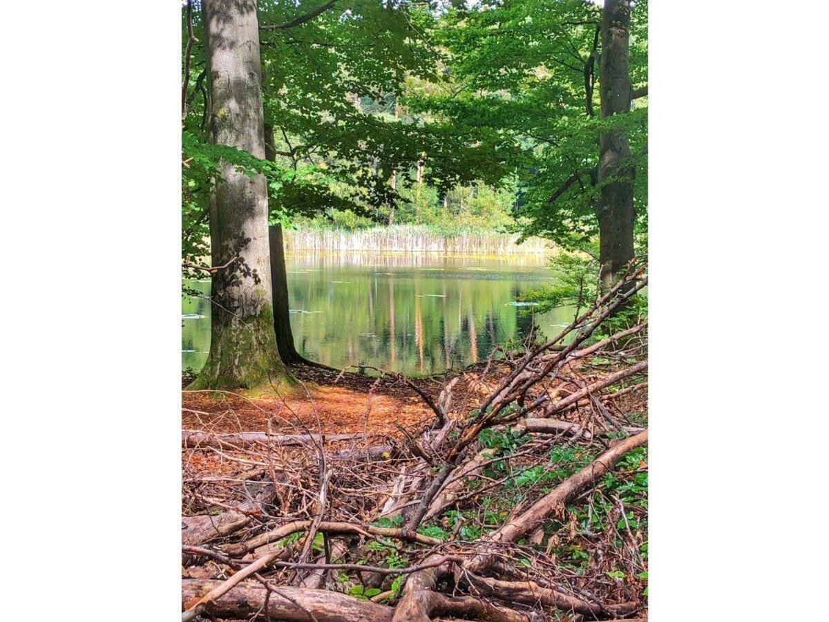 Ravensberg Lägenhet Bad Sachsa Exteriör bild