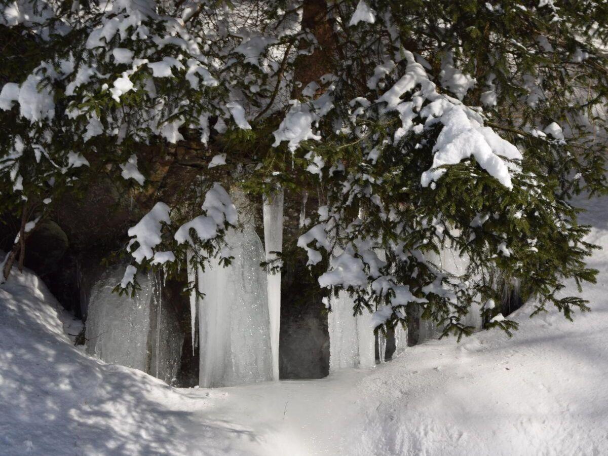 Ravensberg Lägenhet Bad Sachsa Exteriör bild